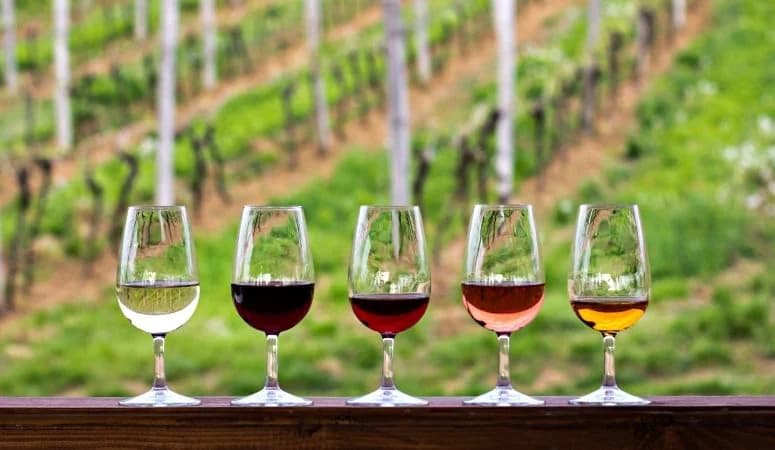 Wine Tasting